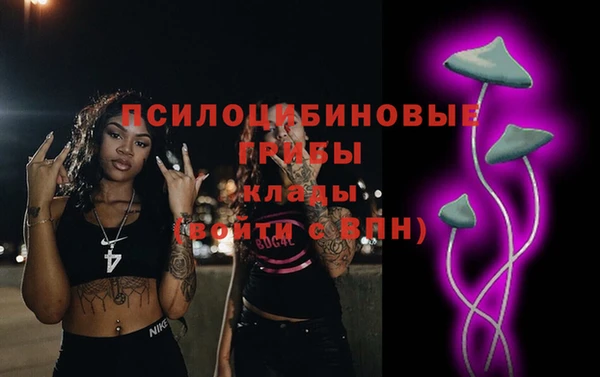 СК Надым