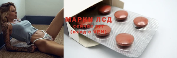 СК Надым