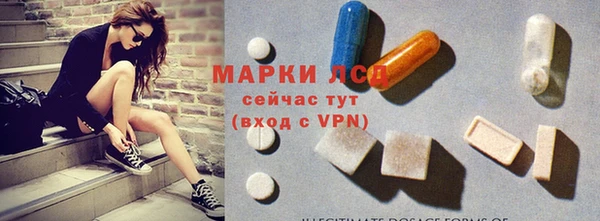 СК Надым